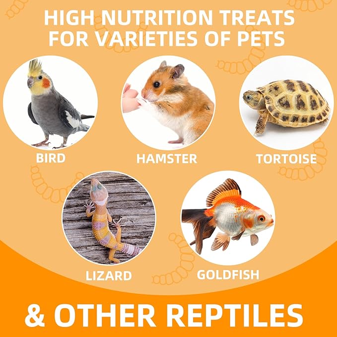 6 Pack Canned Crickets for Reptiles, Fish, Birds and Small Animals, Crickets, Healthy High Protein Treat, Reptile Bird Fish Food 7.2 Ounces Total