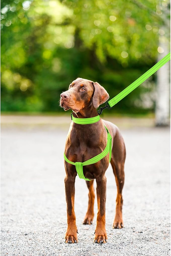 Mile High Life Night Reflective Double Adjustable Band Nylon Small Puppy Pet Dog Combo Collar Leash and Harness Set (Reflective Solid Lime Green, Large (Pack of 3))