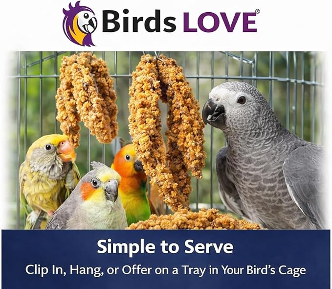2lbs Wholesome Spray Millet for Birds – Grown, Harvested & Packed in The USA – 100% Natural, Sun‑Dried Bird Treat – Foraging Millet for Parakeets, Cockatiels, Conures, Budgies & Parrots