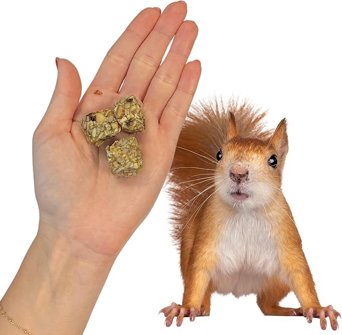 Exotic Nutrition Squirrel Beneficial Blocks - Healthy & Unique Supplemental Food with Nuts & Seeds, 10 oz