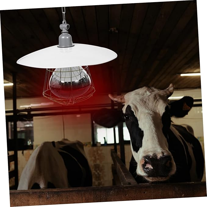 Hemoton Convenient Heating Lamp for Livestock and Reptiles High-Temperature Resistant Easy to Use Ceramic Light with Protective Net Structure for Chickens Ducks Dogs and More