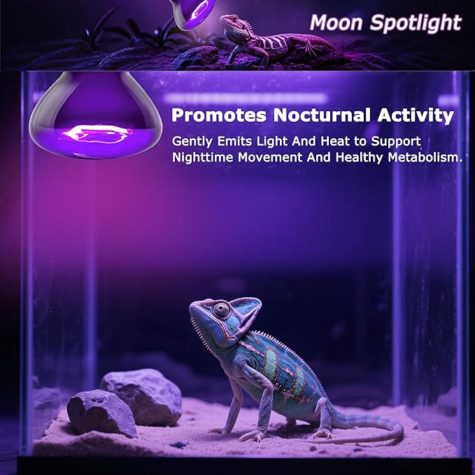 Reptile Moonlight Bulb 60W