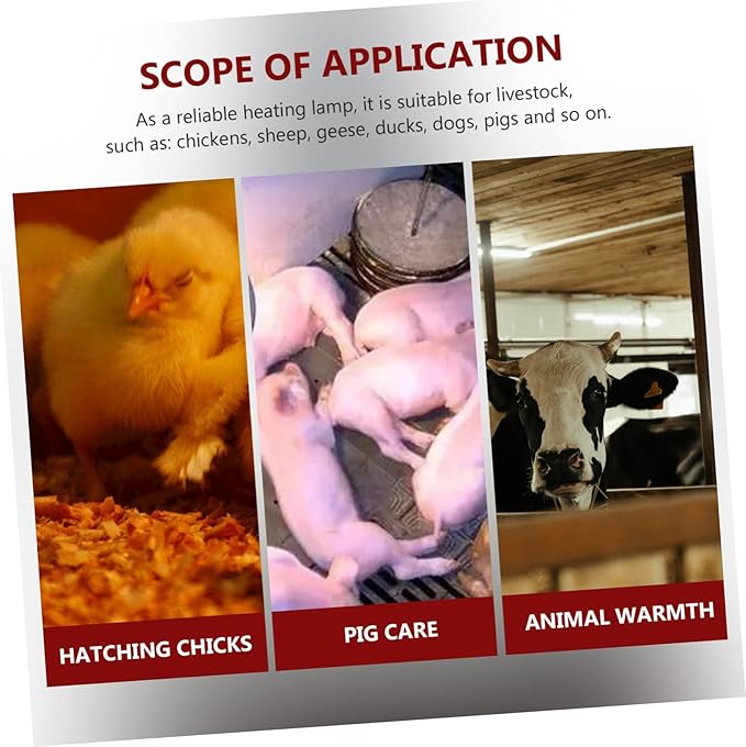 Angoily Pet Cage Warming Lamp Livestock Incubator Accessory Heat Preservation Lamp Set Warm Light Bulb
