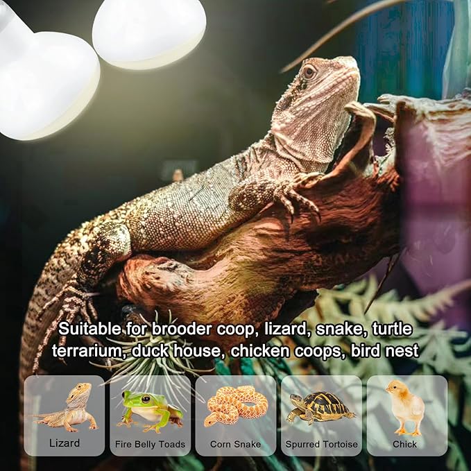 Reptile Heat Lamp 75W, 2 Pack Daylight UVA Basking Light Bulbs with E26 Base for Lizards, Turtles, Snakes and Amphibians