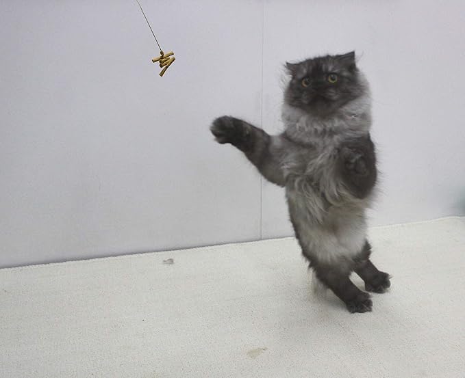 Cat Dancer 101 Cat Dancer Interactive Cat Toy, 3 Pack - Image 2