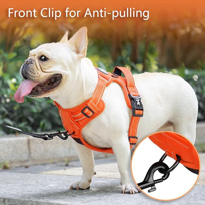 PoyPet No Pull Dog Harness, No Choke Reflective Dog Vest, Adjustable Pet Harnesses with Easy Control Padded Handle for Small Medium Large Dogs(Orange Matching Trim,XL)