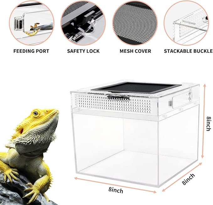 Reptile Growth mini Reptile Terrarium,8" x 8"x 8" Reptile Tank with Full View Visually Appealing，for Insect，Fish，Tarantula，Hermit Crab，Jumping Spider，Iguana，Tortoise，Leopard Gecko，Frog，Bearded Dragon