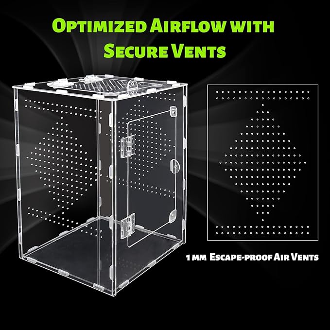 Large Jumping Spider Enclosure, Acrylic Ventilated Terrarium with Magnetic Front and Top Doors, 8.5x8.5x12 Inch, Transparent, Lockable (Large Size)