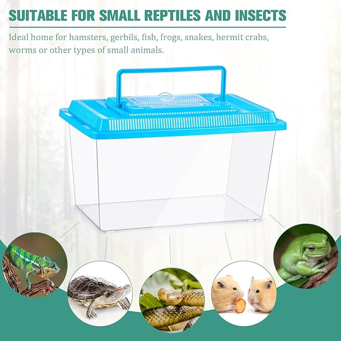 Mumufy 10 Pcs Spider Tarantula Enclosure Reptile Terrarium Plastic Portable Reptile Breeding Box Snake Breeding Box Hatching Container for Bearded Dragon Lizard Spider, 10.6 x 6.69 x 5.9 Inch