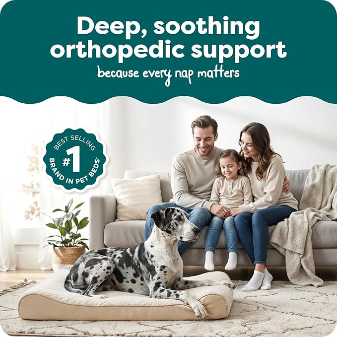 FurHaven Orthopedic Dog Bed for XX-Large Dogs, Luxe Lounger Contour Mattress with Medical-Grade Solid Orthopedic Foam for Joint Support, Removable Washable Cover - Jumbo Plus/XXL, Plush Suede, Cream