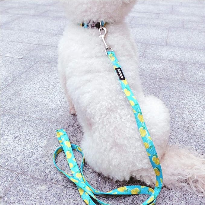 azuza Dog Collar and Leash Set, Lemon Patterns on Blue Nylon Collar and Matching Leash, Great Option for Medium Dogs