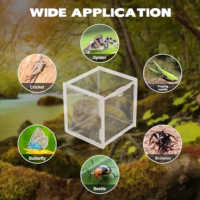 Rislobx Jumping Spider Enclosure, Acrylic Reptile Terrarium Enclosure Micro Habitat Tank Breeding Box for Tarantula Insect Small Reptiles (3.7" x 3.5" x 3.5")