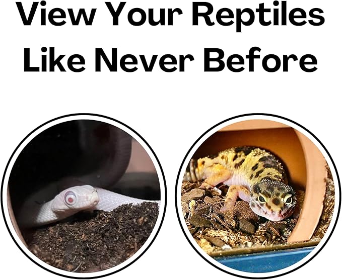 Reptile Corner Underground Cave Viewing Hide | Hognose Snake, Corn Snake & Leopard Gecko Hideout Reptile Habitat Tank Enrichment | Decor Decoration Accessories Supplies Toys Ornaments