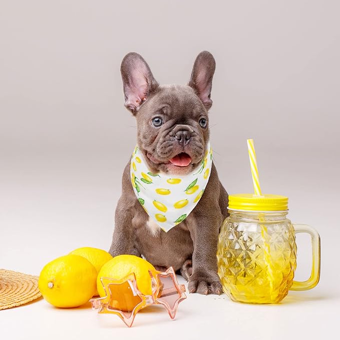 Whaline Yellow Lemon Dog Bandana Spring Summer Reversible Triangle Dog Scarf Adjustable Fruit Washable Pet Bibs Pet Neckerchief for Medium Large Cat Dogs Costume Accessories, 2 Pack