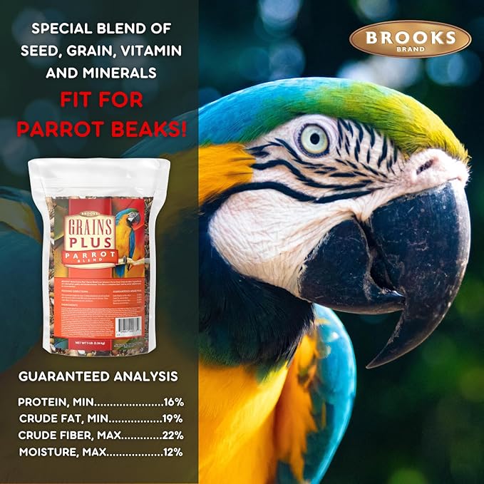 Grains Plus Parrot Blend, Bird Food Parrot Seed Mix, African Grey Food, Eclectus, Indian Ringneck, Quaker (5 lbs)