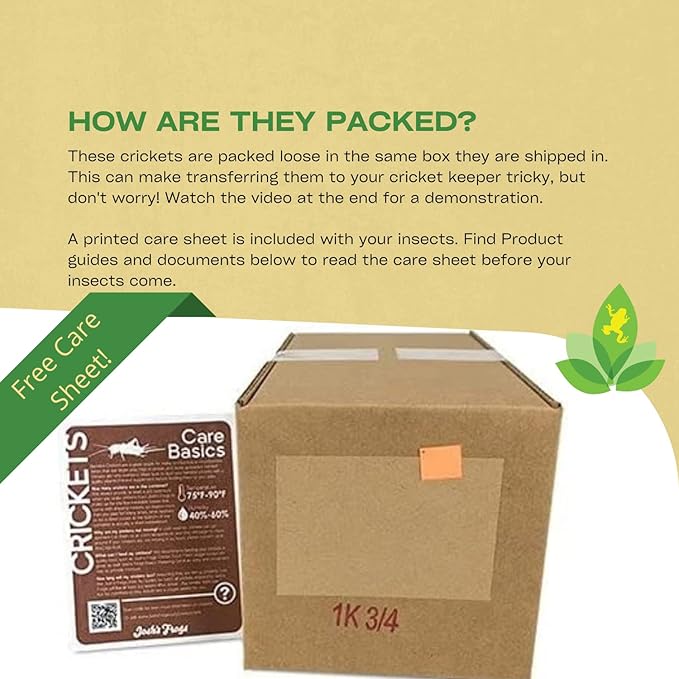 Josh's Frogs 3/4"" Banded Crickets (1000 Count)