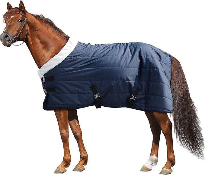 HOMBYS Heavy Duty Winter Horse Blanket,Waterproof Turnout Blanket with Flannel Backing,Super Warm Horse Blanket for Real Horse, 600D High Density Horse Sheet (75")