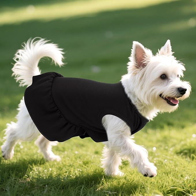 2 Pcs Dog Dress Cute Cat Skirt Solid Color Summer Clothes for Small Pet Dogs Cat (Black,Red, Large)