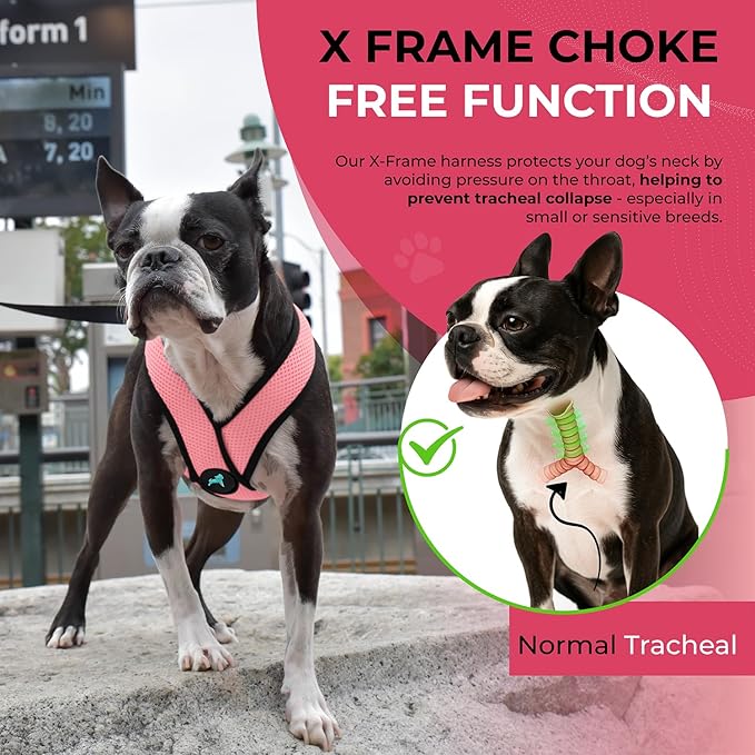 Gooby Comfort X Head in Harness - Pink, Small Harness Patented Choke-Free X Frame - Perfect on The Go Harness for Medium Dogs No Pull or Small Dogs for Indoor and Outdoor Use