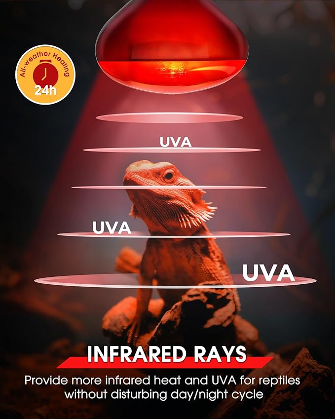 EvaStary 100W Infrared Heat Lamp Bulbs, 2 Pack Reptile Red Heat Lamp Bulb Infrared Basking Spot Light for Reptiles for Bearded Dragon, Turtle, Lizard, Snake, Chickens, Pets