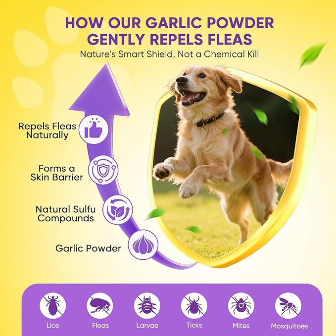 Dog Flea and Tick Treatment Chewable 200 Treatment Chews Natural Soft Chew Fleas Ticks Treatment Dog Oral Chewables Support Supplement Pest Defense Breeds and Ages Dogs Chicken Flavor
