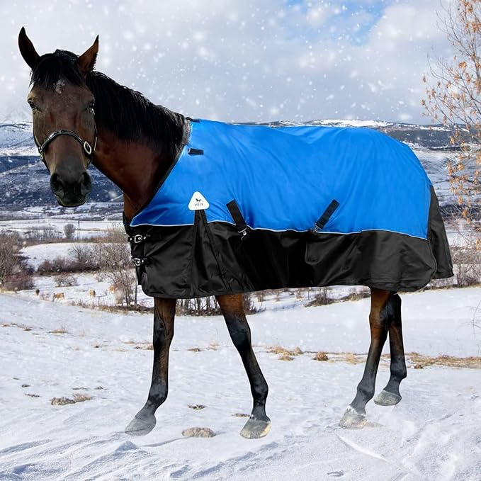 Turnout Blanket for Horses, Waterproof Thickened Horse Sheet with Detachable Neck Cover,1600D Nylon Outer, 400g Heavy Weight Filling, Blue (US 81IN(EU 155cm))