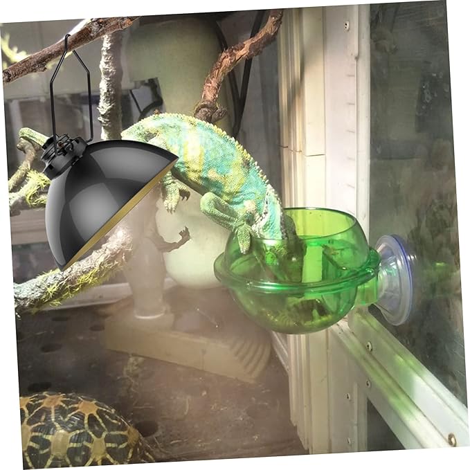 balacoo 12pcs Reptile Light Fixing Clips Clamp for Reptile Lampshade Easy to Install Accessories for Tortoise Snake Lizard