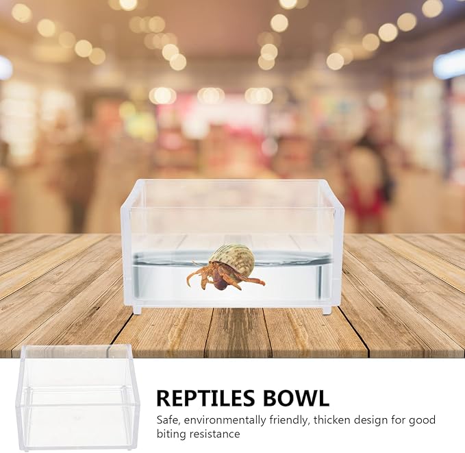 2pcs Acrylic Reptile Terrarium Reptile Aquarium Breeding Tank Transparent Feeding Box Bathing Pool for Frogs Hermit Crabs Lizards Tank