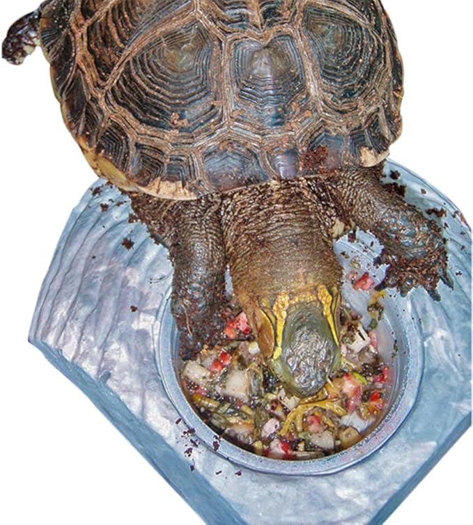 Healthy Herp Box Turtle Food Instant Meal for Reptiles - Nutritious Turtle Food, Tortoise Habitat Accessories, Tortoise Food - Made in USA, Quick Prep - 10.5 oz (310g)