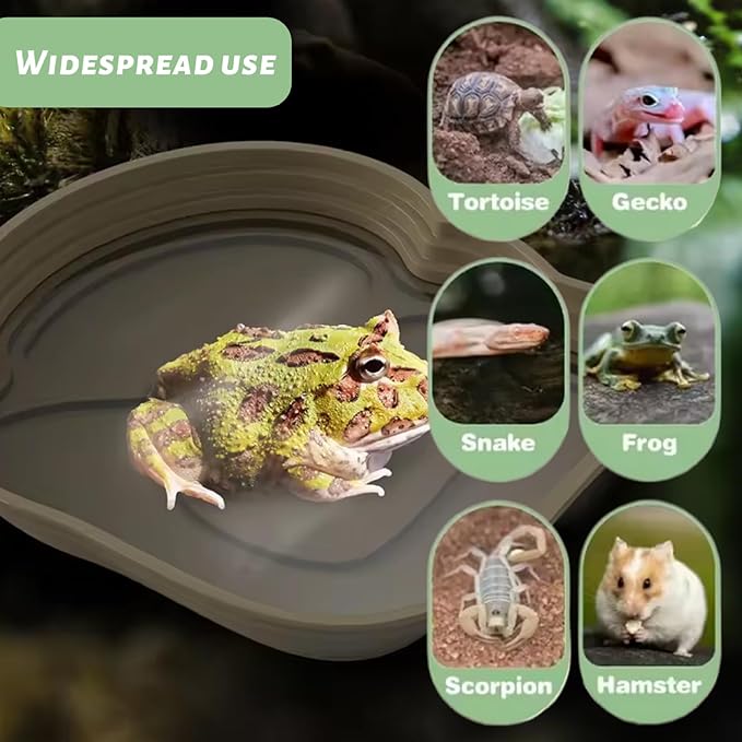Reptile Bathing Pool, 2PCS Plastic Reptile Water Dish with Ramp Easy Climbing Turtle Water Bowl for Gecko, Snake, Turtle, Bearded Dragon, Lizard, 6.4x4.8in