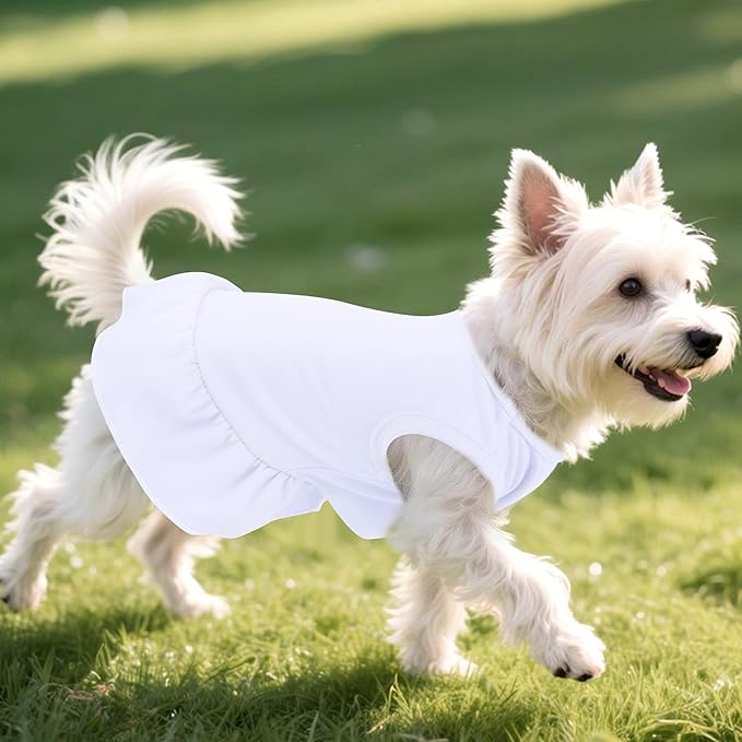 2 Pcs Dog Dresses Cat Skirt Solid Color Dog Clothes Summer Sleeveless Puppy Girl Clothes for Small Pet Dogs Cats (White,Blue, Medium)