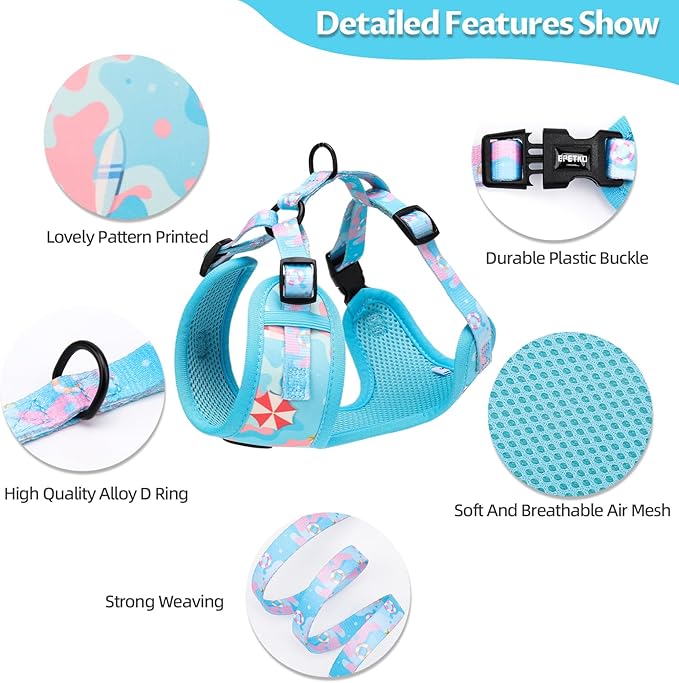 Small Dog Harness and Leash Set of 6, No Pull Soft Lightweight Mesh Puppy Harness， Adjustable Cute Floral Pattern Pet Harness for Small Medium Dogs (Blue Sea, M)