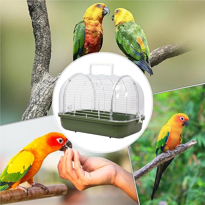 Small Bird Cage, Transparent Bird Travel Carrier, 35x25cm Full View Cockatiel Cage for Birds, Pet Accessory, Travel Tool with Secure Design, Indoor Outdoor Balcony Living Room Park Parakeet