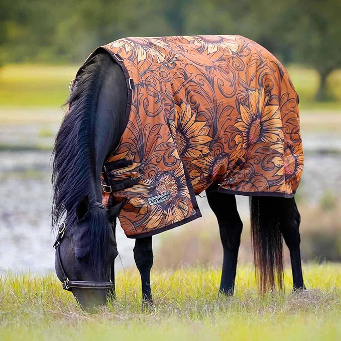 Jeffers Expression 1200 Denier Standard Neck Turnout Blanket for Horses, 81"- Water Proof, Breathable, 240 gram Polyfill for Medium Weight Warmth, Winter Protection for Stall, Barn – Bloomin' Toolin