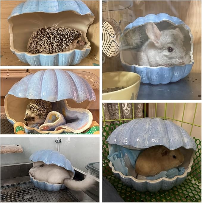 Small Animal Hideout Extra Large Ceramic Shell Shape Guinea Pig House Chinchilla Igloo Habitat Hut Cave Summer Bed Cage Accessories for Hedgehog Rabbit Hamster Gerbil Rat (XL (9.5''x7''x7.9''), Blue)