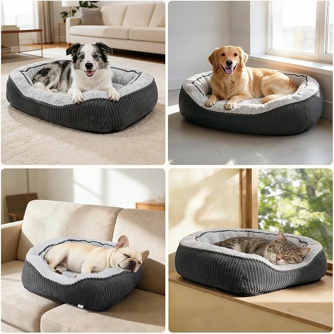 SIWA MARY Medium Dog Beds for Medium Small Dogs Washable, Rectangle Dog Bed Medium Size Dog, Orthopedic Warming Soft Calming Sleeping Puppy Bed Durable Pet Bed with Anti-Slip Bottom(25"x21"x8")