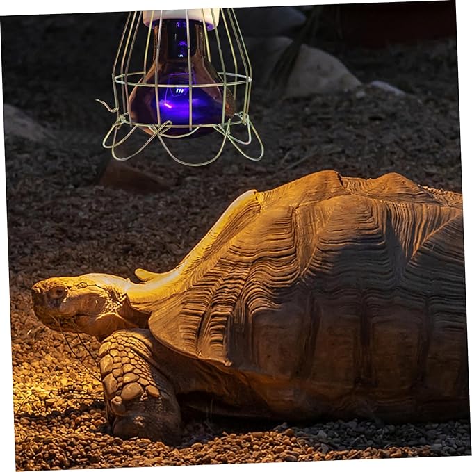 COLLBATH Heat Lamp to Prevent Burns Reptile Heating Lamp Net Cover Safe and Use