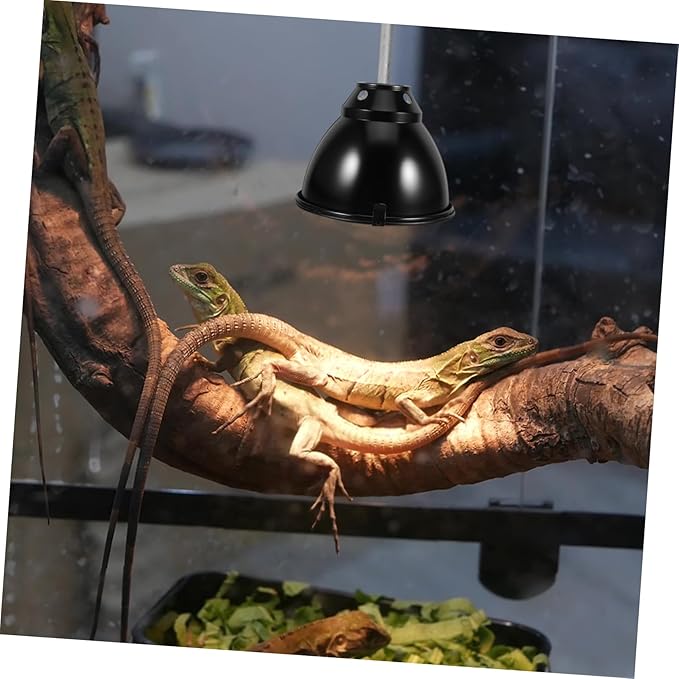 MAGICLULU 1set Reptile Heat Lamp Cover Scald Lampshade Heat Insulation for Lizards Snakes Turtles Cup -Scald Mesh Cover