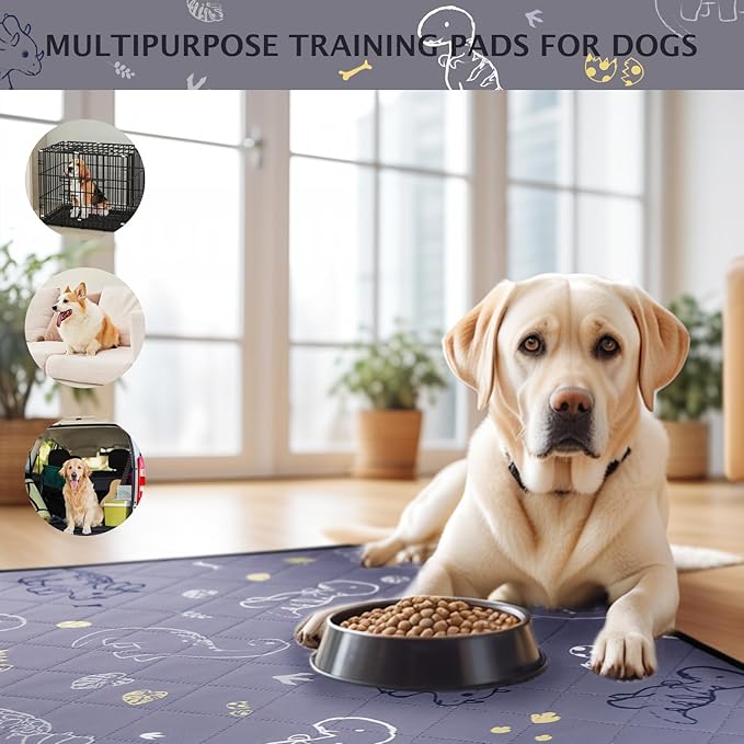 IEUUMLER Washable Pee Pads for Dogs, 2 Pack Non-Slip & Waterproof Whelping Pad, Reusable Puppy Potty Training With Fast Absorbent for Playpen EU007 (Gray Dinosaur, 24"X48"-2pcs)
