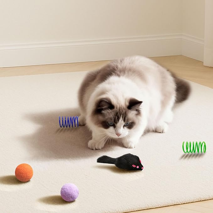 Cat Toys for Indoor Cats, 34 Pack Interactive Cat Toy Set for Kitten - Image 7