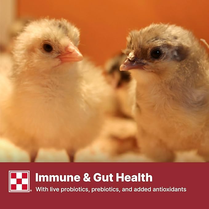 Purina Start & Grow | Nutritionally Complete Medicated Chick Feed Crumbles | 25 Pound (25 lb.) Bag