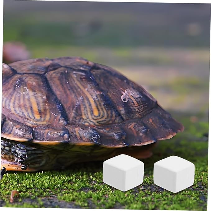 TOYANDONA 6pcs Natural for Pets Essential Chew Toys for Birds Parakeets Reptiles Turtles Chinchillas and Gerbils Sustained Mineral Supply for Healthy Teeth