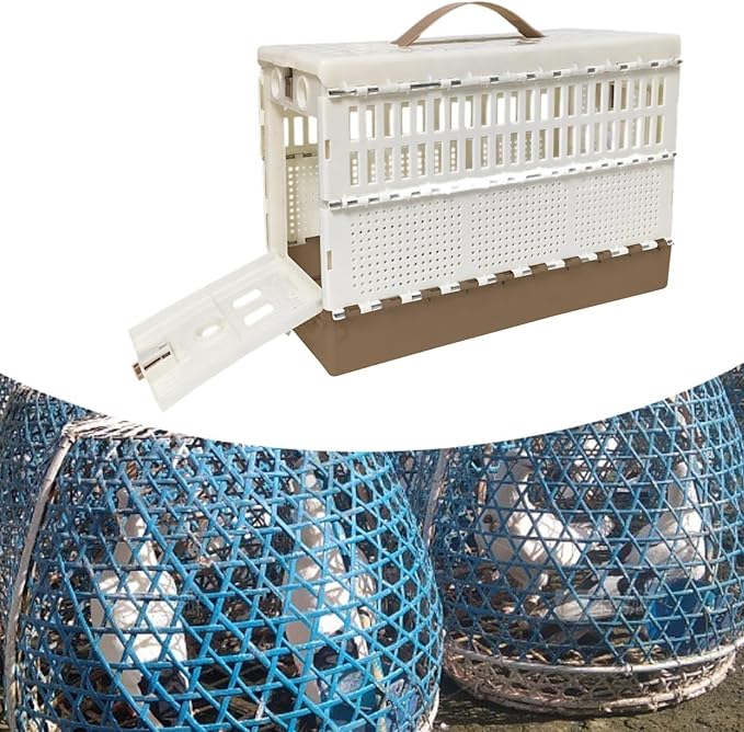Pigeon Cage Transport Box Fodable Pet Bird Cage 32cmx22cmx15cm Pigeon Training Travel Carrier