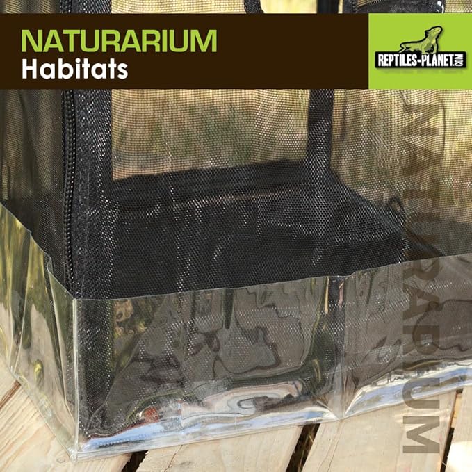 Reptiles-Planet Naturarium Terrarium, Medium, 75 x 45 x 75 cm
