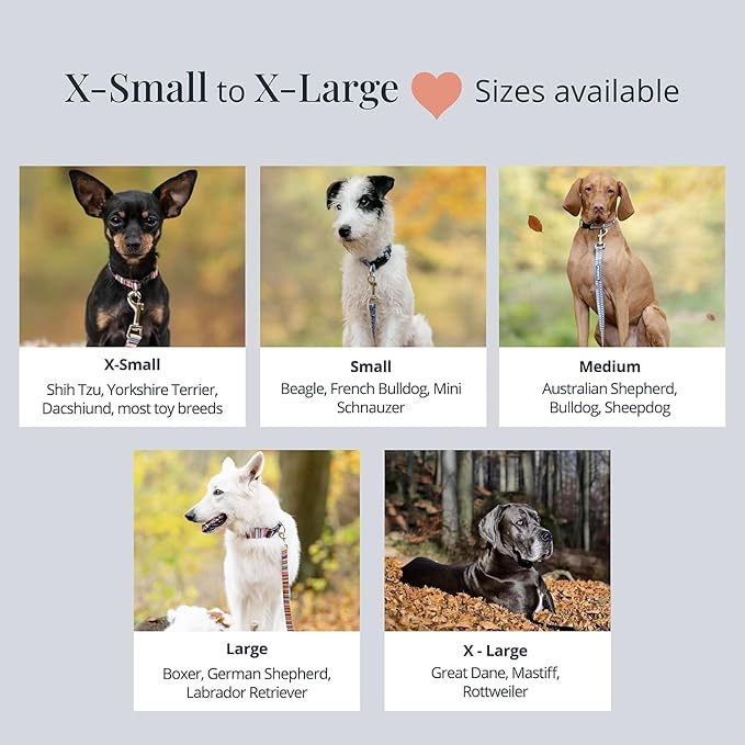 Lucky Love Dog - Adjustable Dog Collar with Easy Click Noel for Small Ones, Durable, & Comfortable for Male & Female Dogs, Pet Collar for Puppies & Adult Dogs - Noel, XS
