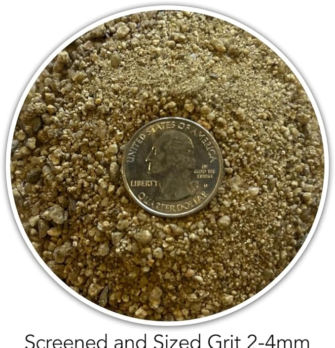 Coarse Sand for Plants – Washed Horticultural Sand for Succulents, Cactus, Bonsai, Potting Mixes & Terrariums | Natural Drainage Sand (1 Quart, 3 lbs)