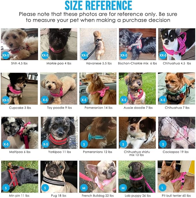 Lukovee No Pull Dog Harness and Leash Set, Soft Padded Small Dog Harness, Neck & Chest Adjustable Reflective Vest Puppy Harness with 4ft Lightweight Anti-Twist Dog Leash for Small Dogs (S, 01-LBL)