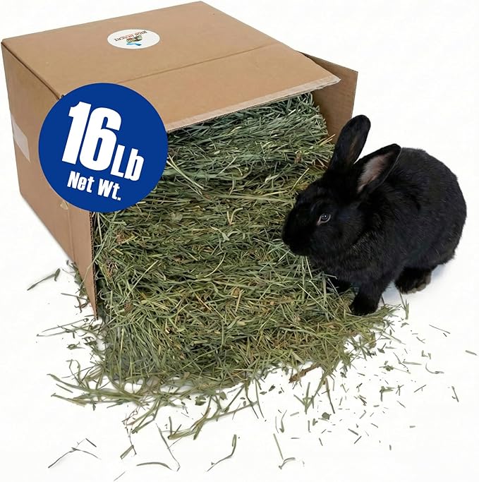 High Desert Orchard Grass Hay, Natural Orchard Hay for Rabbits Guinea Pigs Hamsters and Chinchillas, Soft Leaf Texture for Grazing and Foraging, Small Pet Supplies, Fresh Hand Packed Hay Box, 16 Lb