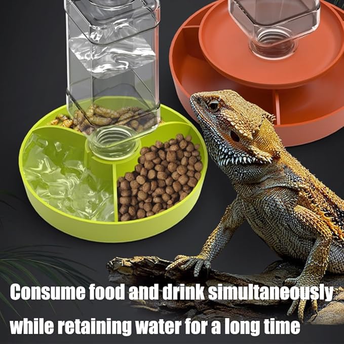Auto Refilling Reptiles Dispenser Multi Level Structure Clear Monitoring Panel Quiet Operations