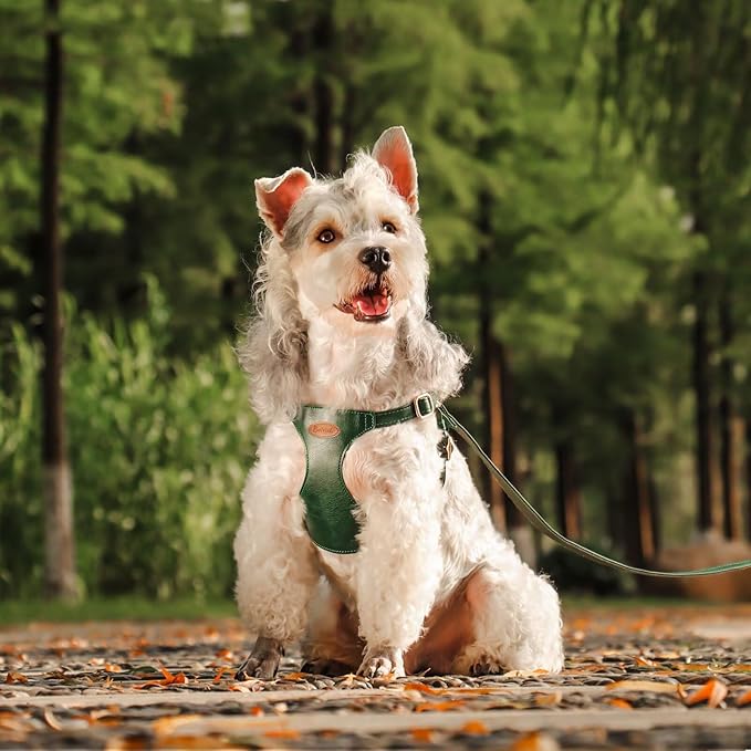 Beirui ‌Stylish PU Leather Dog Harness‌ and Leash Set for Small Dogs, ‌Adjustable Step in Dog Vest Harness with Breathable Mesh Lining and Durable Metal Buckle for Walking Traveling(Green,S)